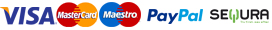 Visa, Mastercard, Maestro, PayPal